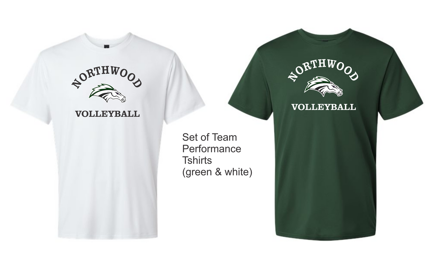 Volleyball Game Day Tees **Green/White REQUIRED for all JV & Varsity!