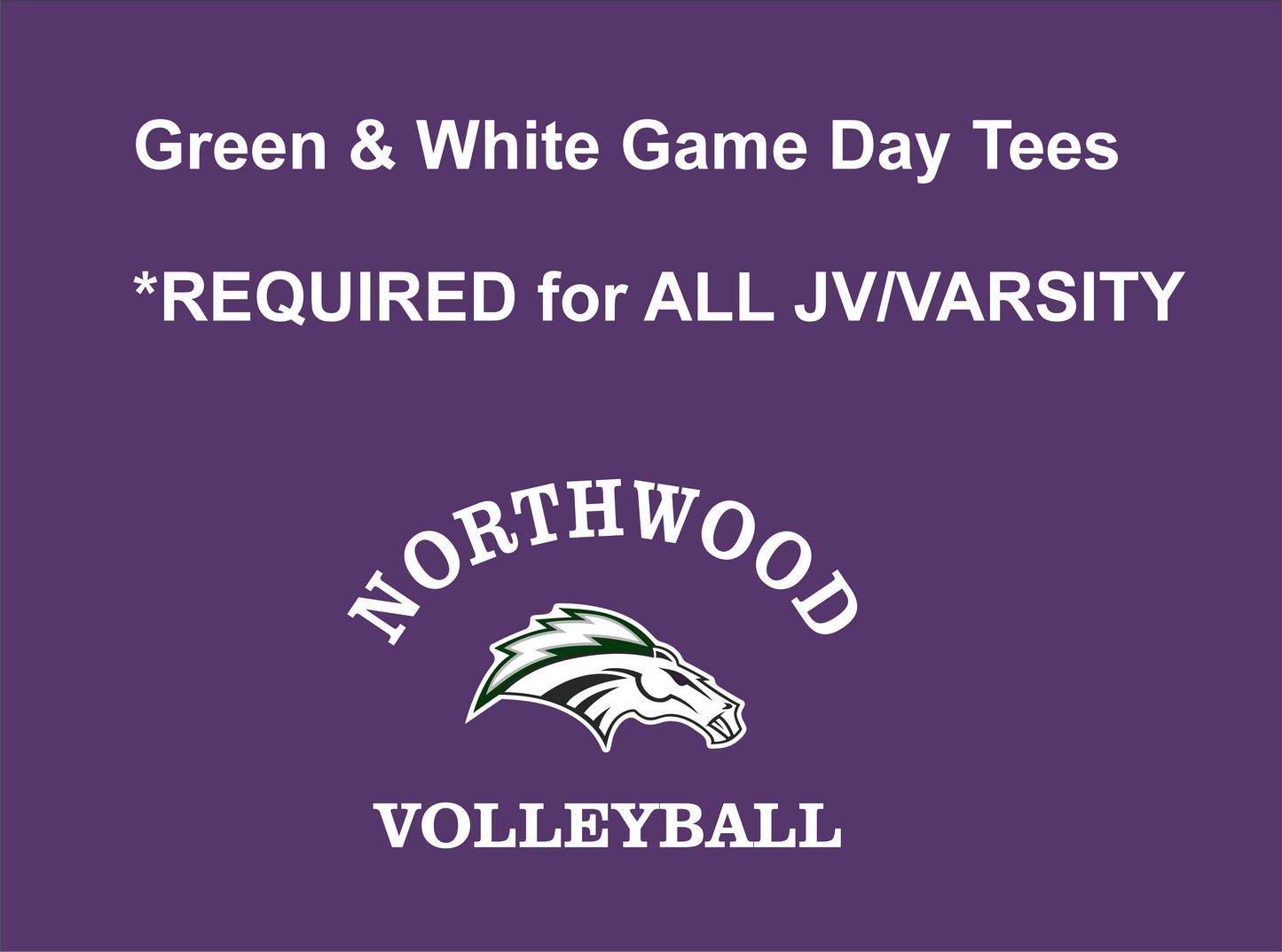 Volleyball Game Day Tees **Green/White REQUIRED for all JV & Varsity!